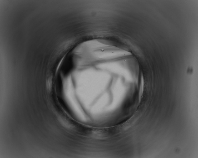 X0000101170070200807181434