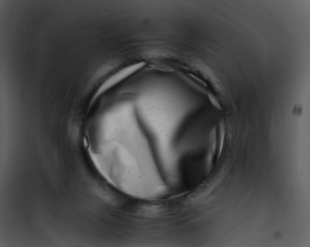X0000101170071200807181434