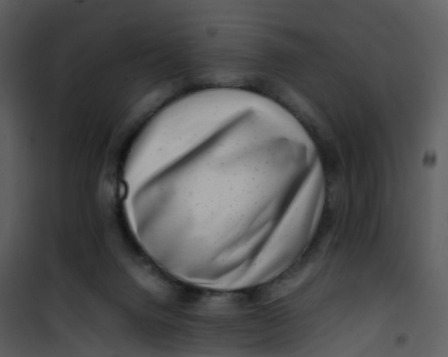 X0000101170072200807181434