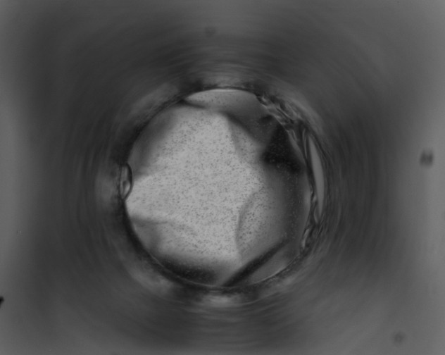 X0000101170073200807181434