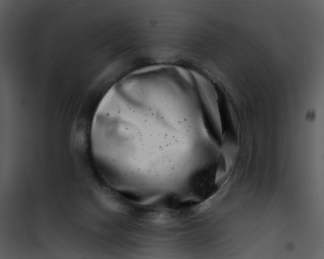 X0000101170074200807181434