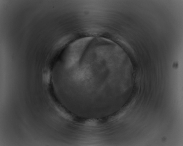 X0000101170076200807181434
