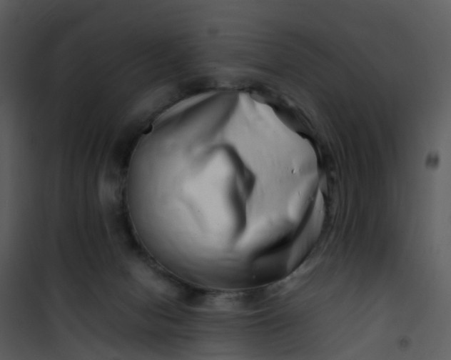 X0000101170078200807181434