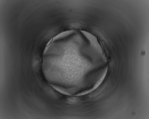 X0000101170079200807181434