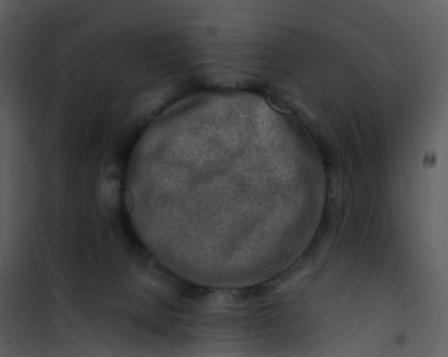 X0000101170080200807181434