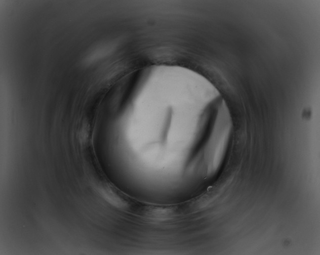 X0000101170081200807181434