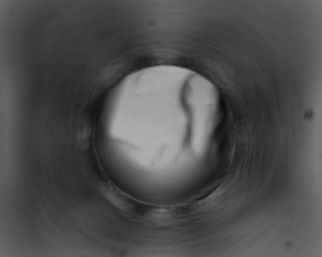 X0000101170082200807181434