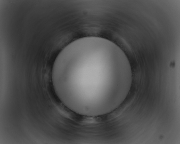 X0000101170083200807181434