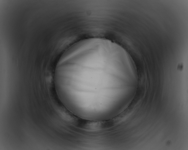 X0000101170084200807181434