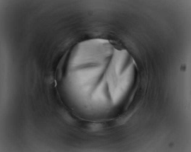 X0000101170085200807181434