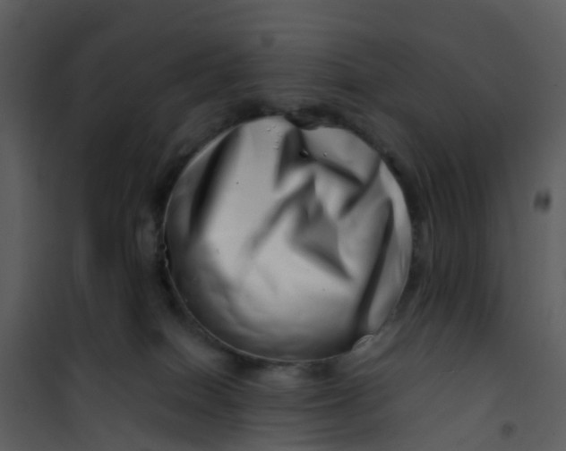 X0000101170086200807181434