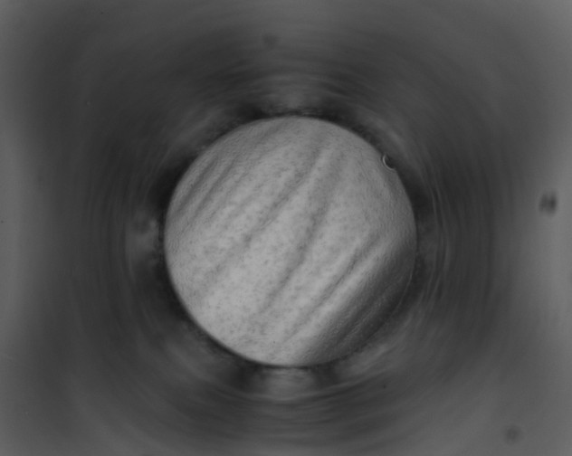 X0000101170087200807181434