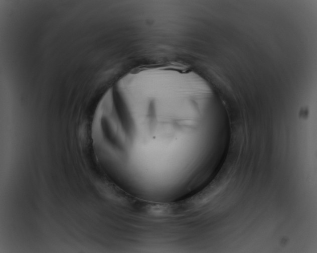 X0000101170088200807181434