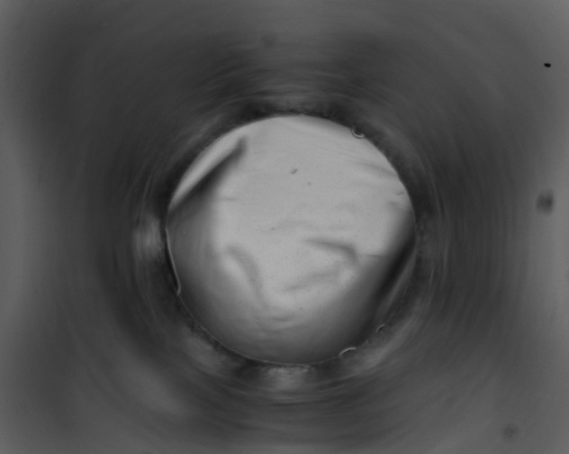 X0000101170089200807181434