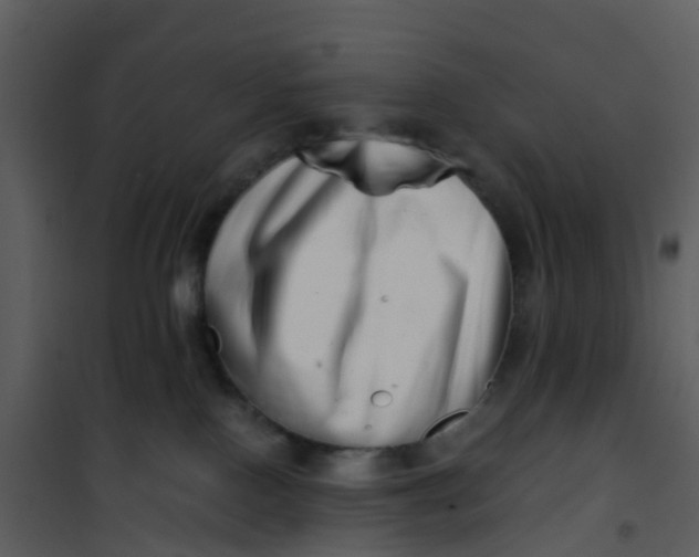 X0000101170090200807181434