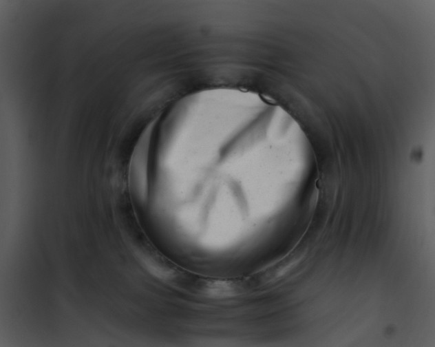 X0000101170091200807181434