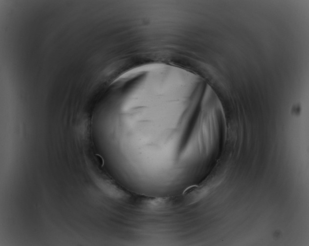 X0000101170092200807181434