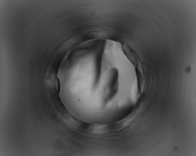 X0000101170093200807181434