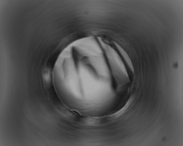 X0000101170094200807181434