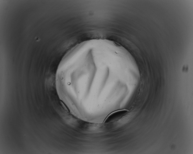 X0000101170096200807181434