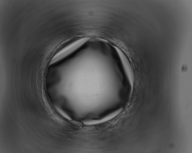 X0000101170097200807181433