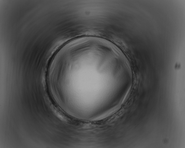 X0000101170098200807181433