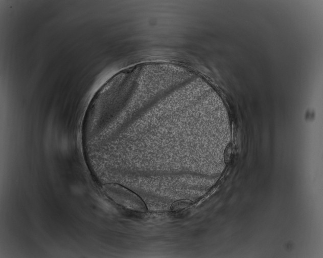 X0000101170099200807181433