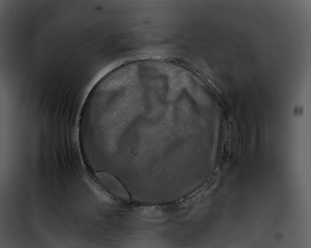 X0000101170100200807181433