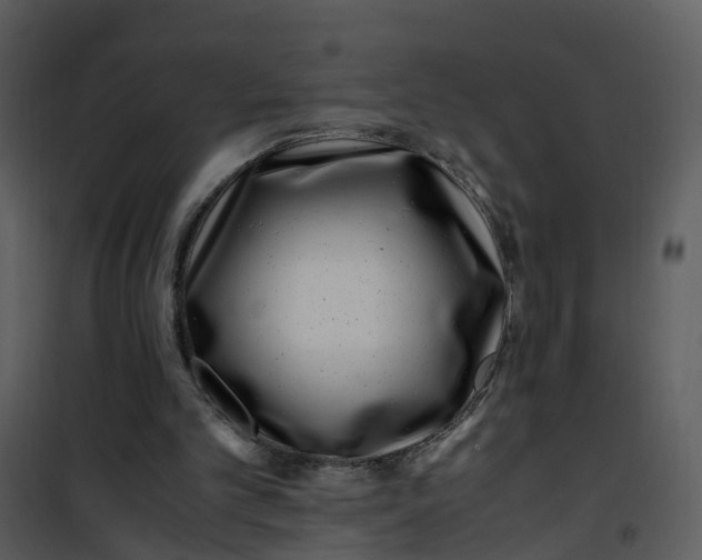 X0000101170101200807181433