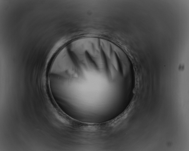 X0000101170102200807181433