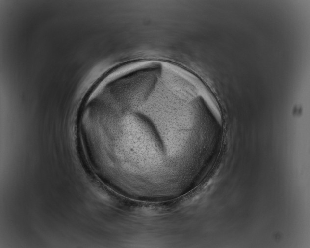 X0000101170103200807181433