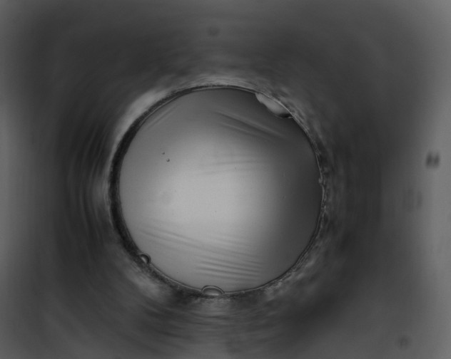 X0000101170104200807181433
