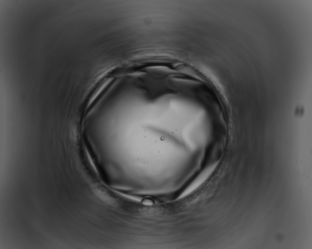 X0000101170105200807181433