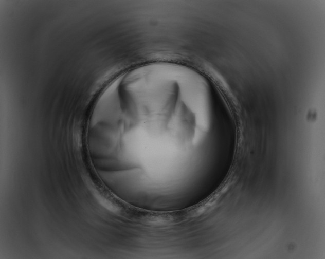 X0000101170106200807181433
