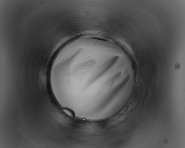 X0000101170108200807181433