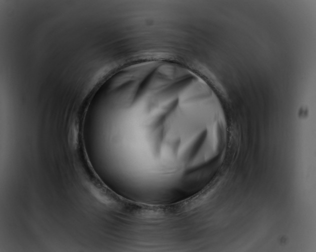 X0000101170110200807181433
