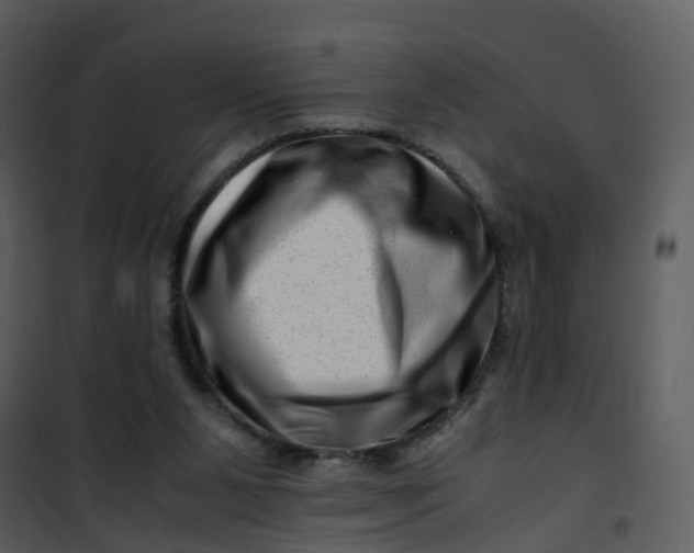 X0000101170111200807181433