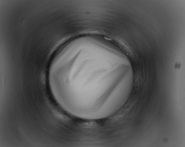 X0000101170112200807181433