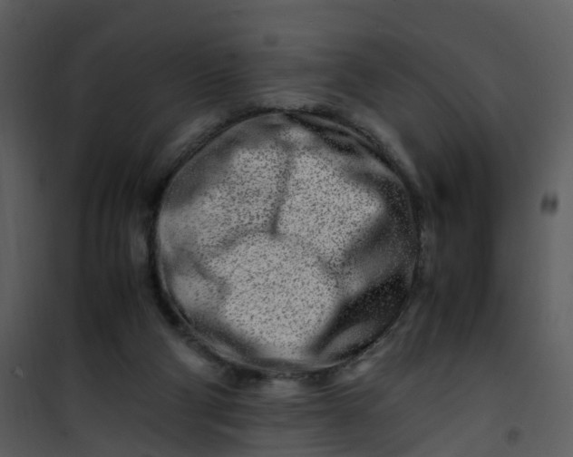 X0000101170114200807181433