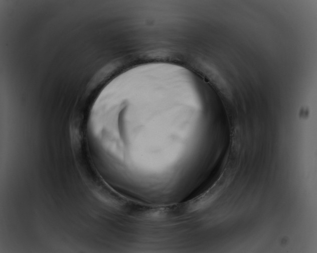X0000101170116200807181433