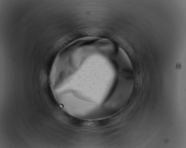 X0000101170117200807181433
