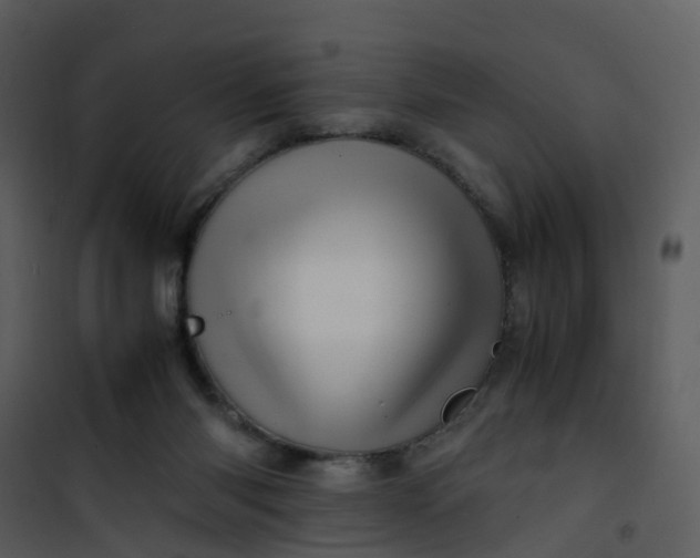 X0000101170118200807181433