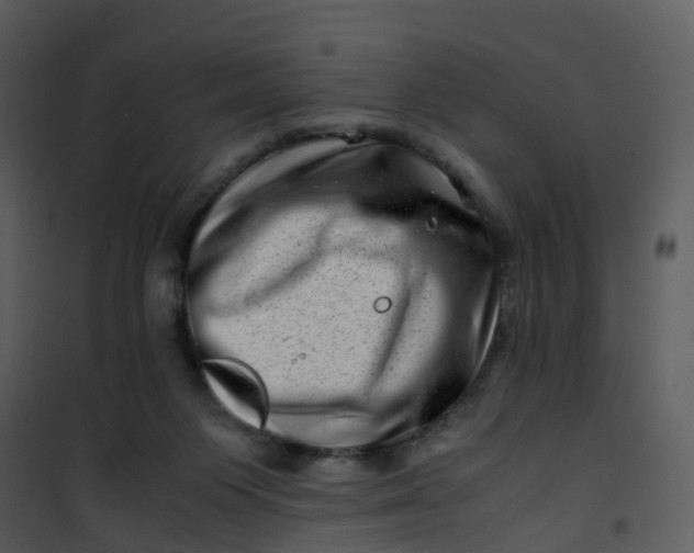 X0000101170119200807181433