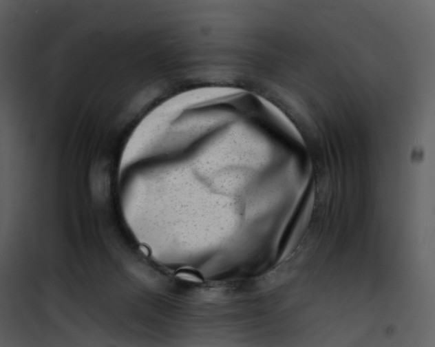 X0000101170120200807181433