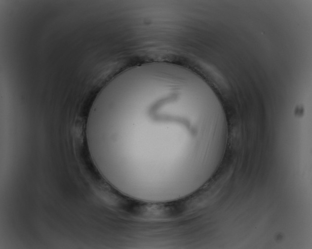X0000101170121200807181433