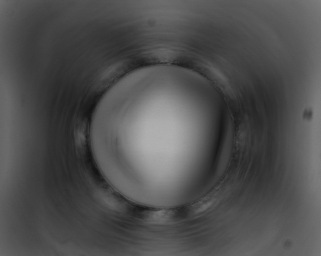 X0000101170122200807181433