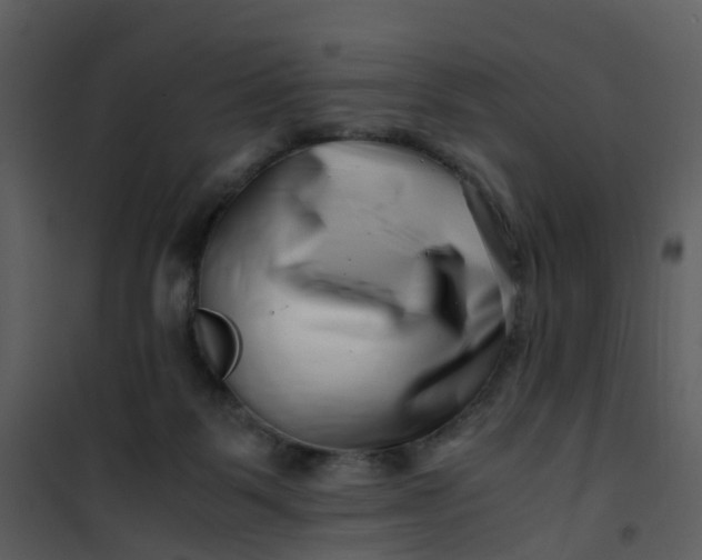X0000101170123200807181433