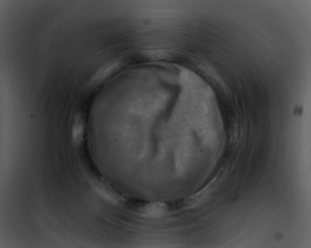X0000101170124200807181433