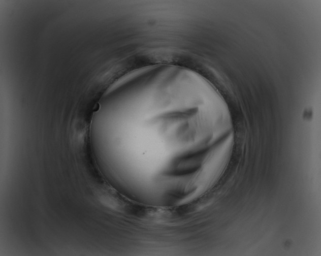 X0000101170125200807181433