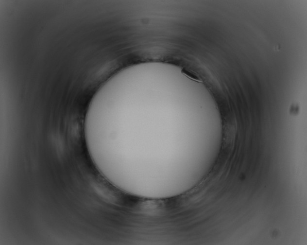 X0000101170126200807181433